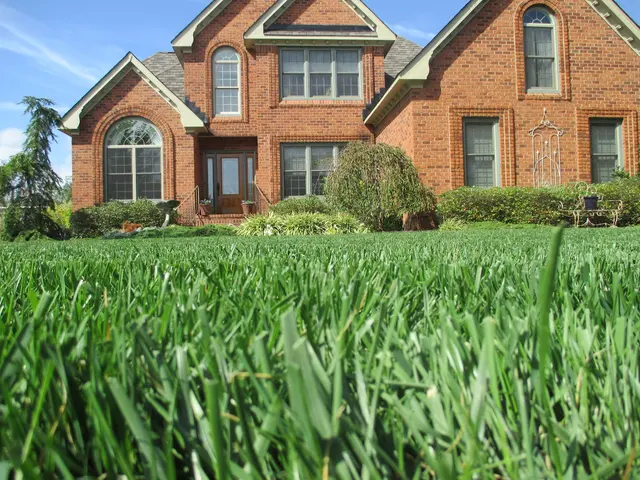 Agronomic Lawn Management — photo from the business 5