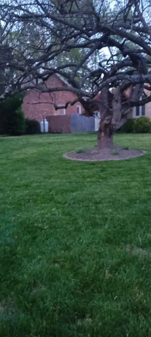 Agronomic Lawn Management — customer photo 12