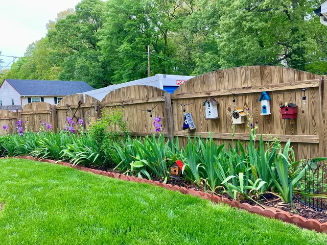 Agronomic Lawn Management — customer photo 4