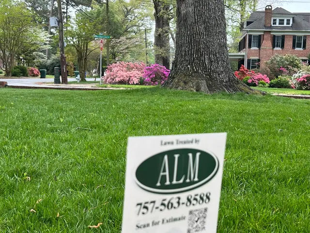 Agronomic Lawn Management — customer photo 3