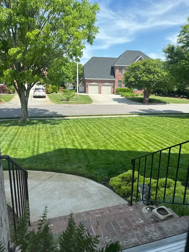 Agronomic Lawn Management — customer photo 6
