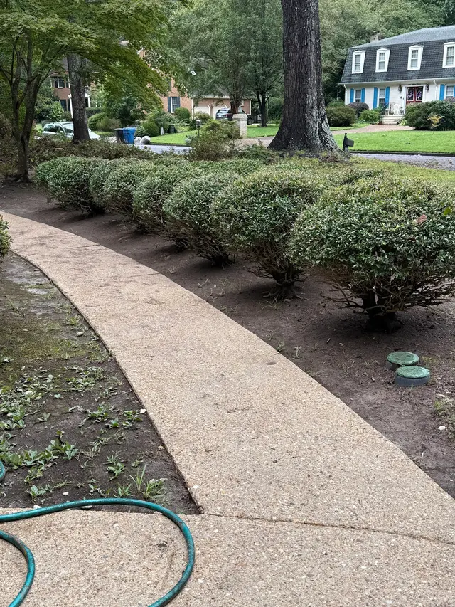 Tk’s Landscaping — customer photo 5