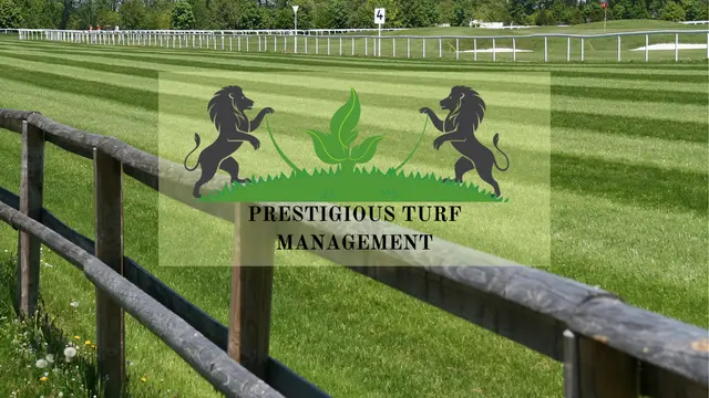 Prestigious Turf Management — photo from the business 1