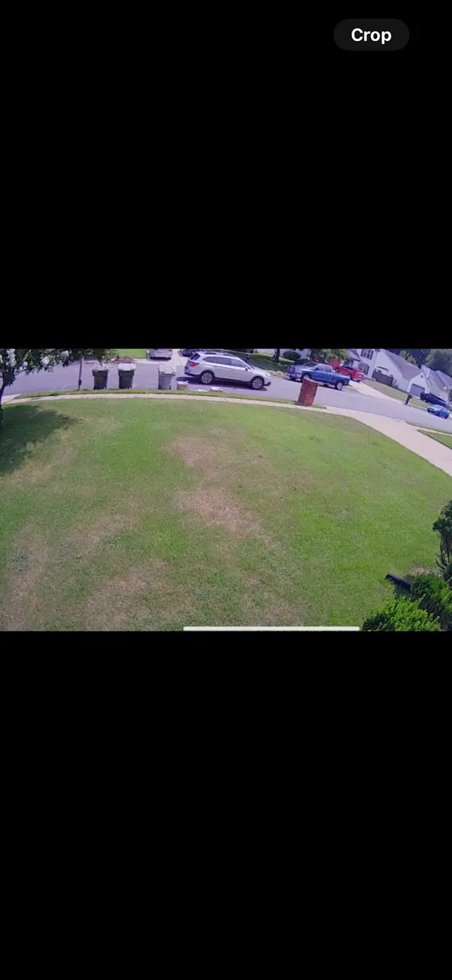 Customer photo of work by Prestigious Turf Management, from Sara D's review