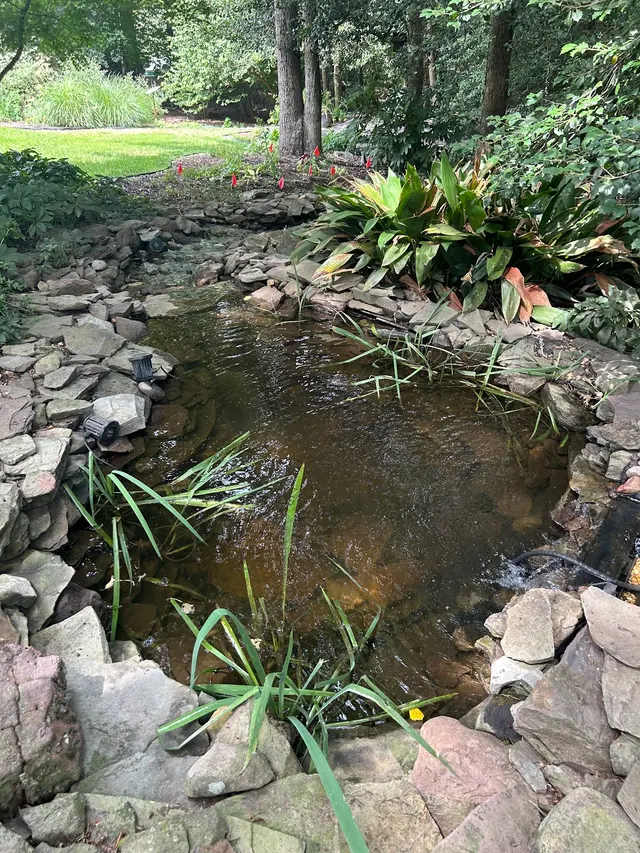 Customer photo from Paul's review