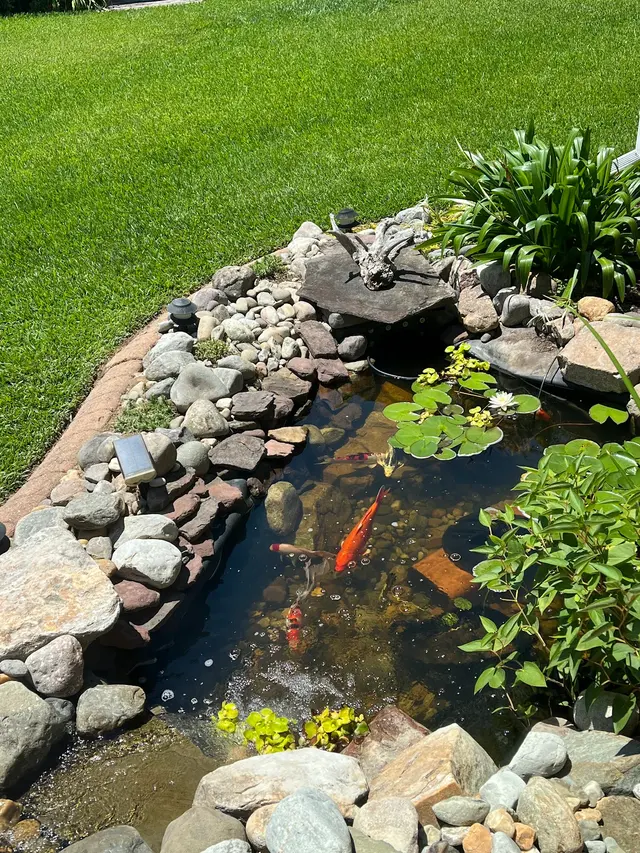 Customer photo from Libby's review