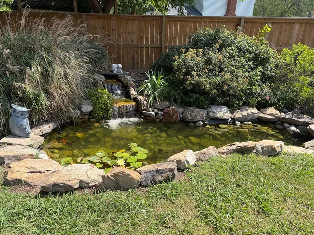 Customer photo from Anna's review