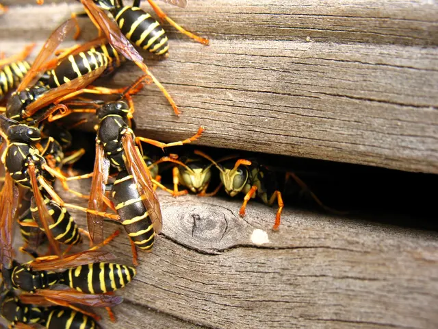 Landmark Pest Management — photo from the business 8
