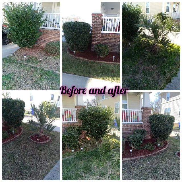 MJ Landscaping And Design LLC. — photo from the business 5