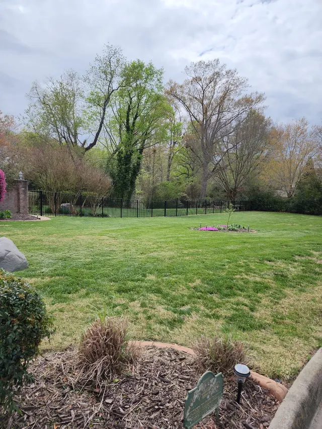 MJ Landscaping And Design LLC. — customer photo 3