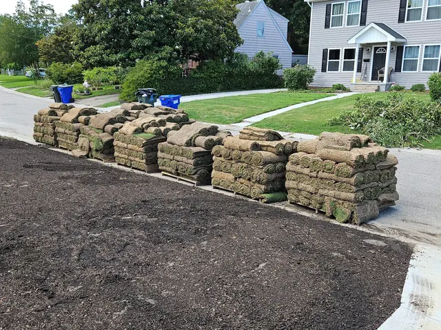 United Turf, LLC — customer photo 5