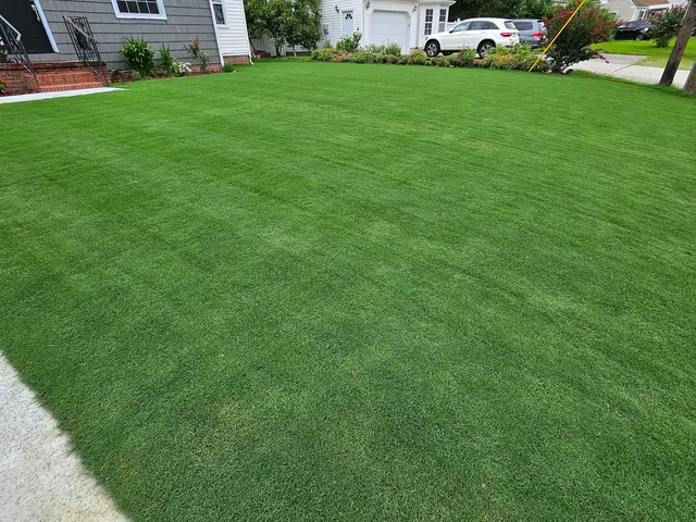 United Turf, LLC — customer photo 3