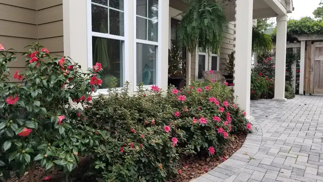 Bay & Beach Landscape LLC — customer photo 7