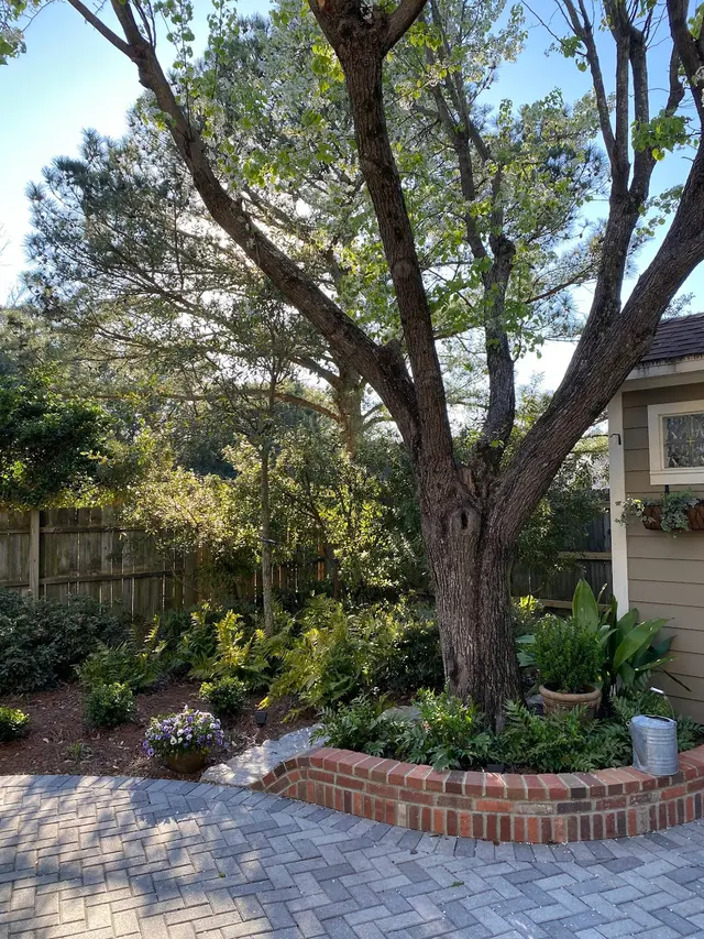 Bay & Beach Landscape LLC — customer photo 5