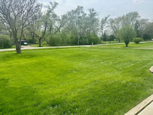 Chem-Wise Pest Management — customer photo 2