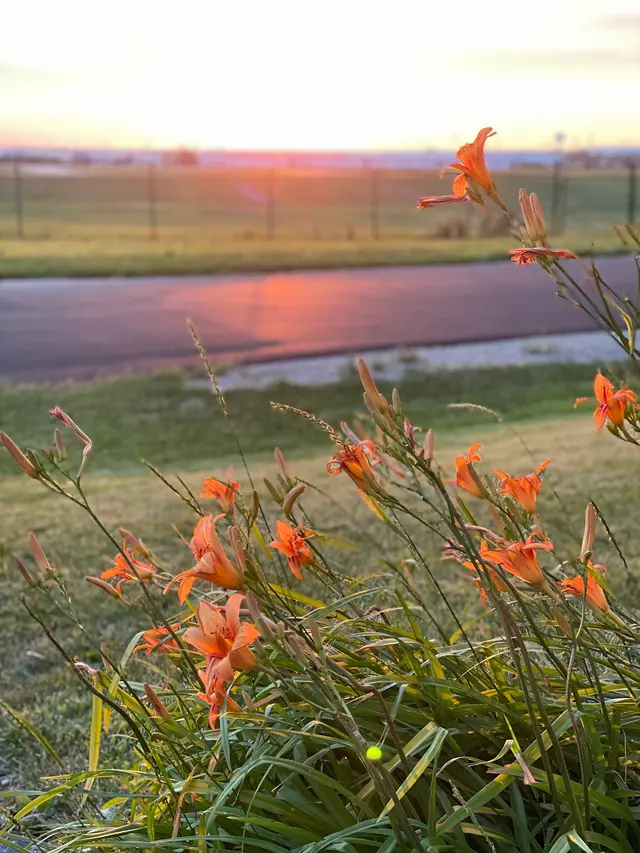Chem-Wise Pest Management — customer photo 4