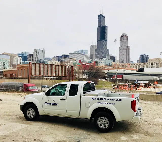 Chem-Wise Pest Management — photo from the business 10