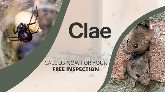 Clae Pest Control — photo from the business 5