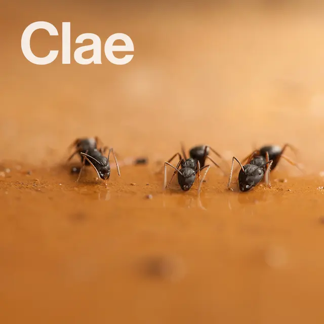 Clae Pest Control — photo from the business 7