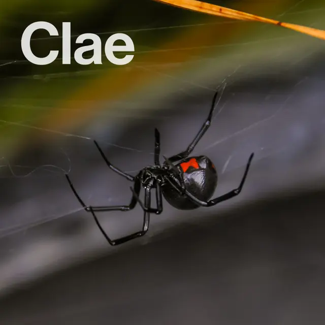 Clae Pest Control — photo from the business 9