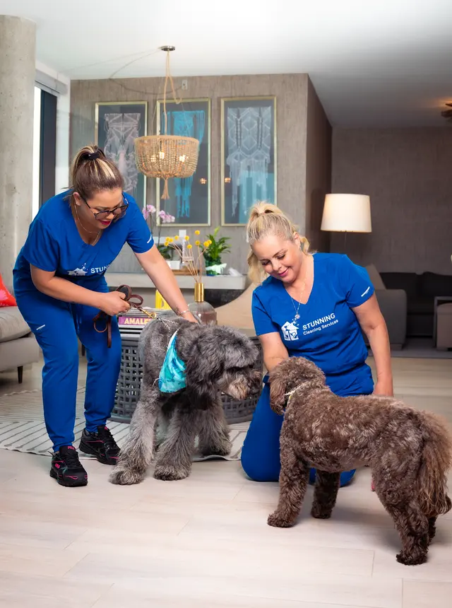 Stunning Cleaning Service — photo from the business 8