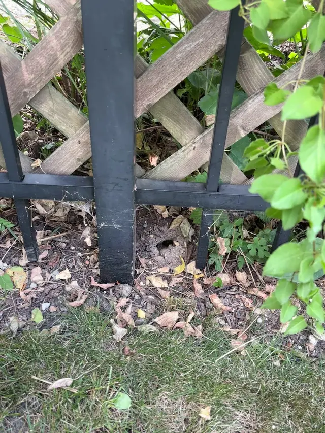 Frontline Pest Control — customer photo 9