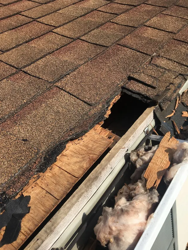 Frontline Pest Control — customer photo 6