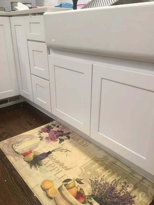 Frontline Pest Control — customer photo 11