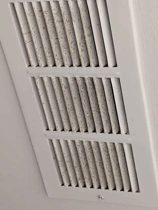 Mean Joe Green Cleaners — customer photo 6