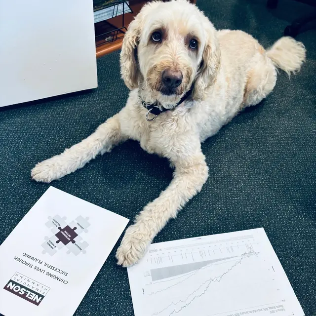 Nelson Financial Planning — photo from the business 8