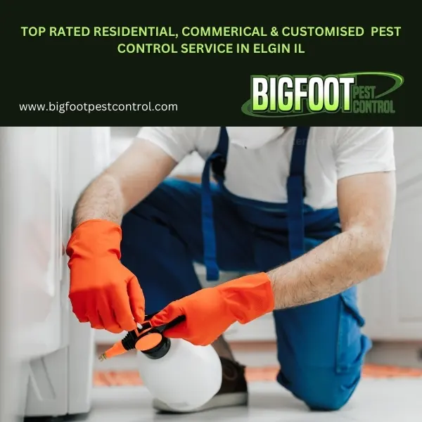 Bigfoot Pest Control — photo from the business 7
