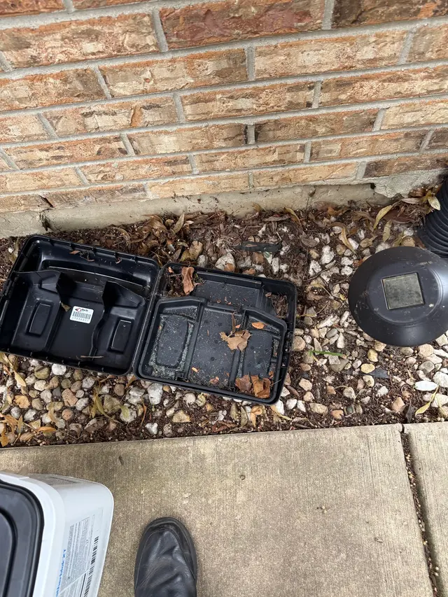 Bigfoot Pest Control — photo from the business 3