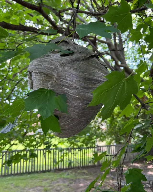 Bigfoot Pest Control — photo from the business 9