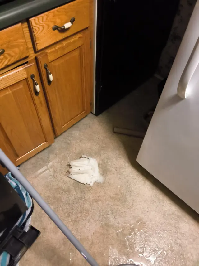 Sears Appliance Repair — customer photo 12