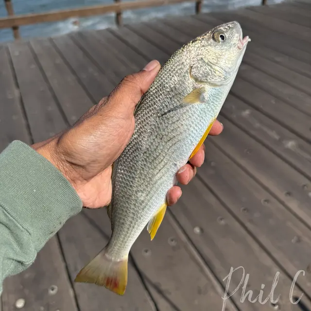 Customer photo of work by Young's Tackle, from Phil C's review