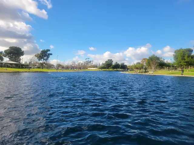 Young's Tackle — customer photo 7
