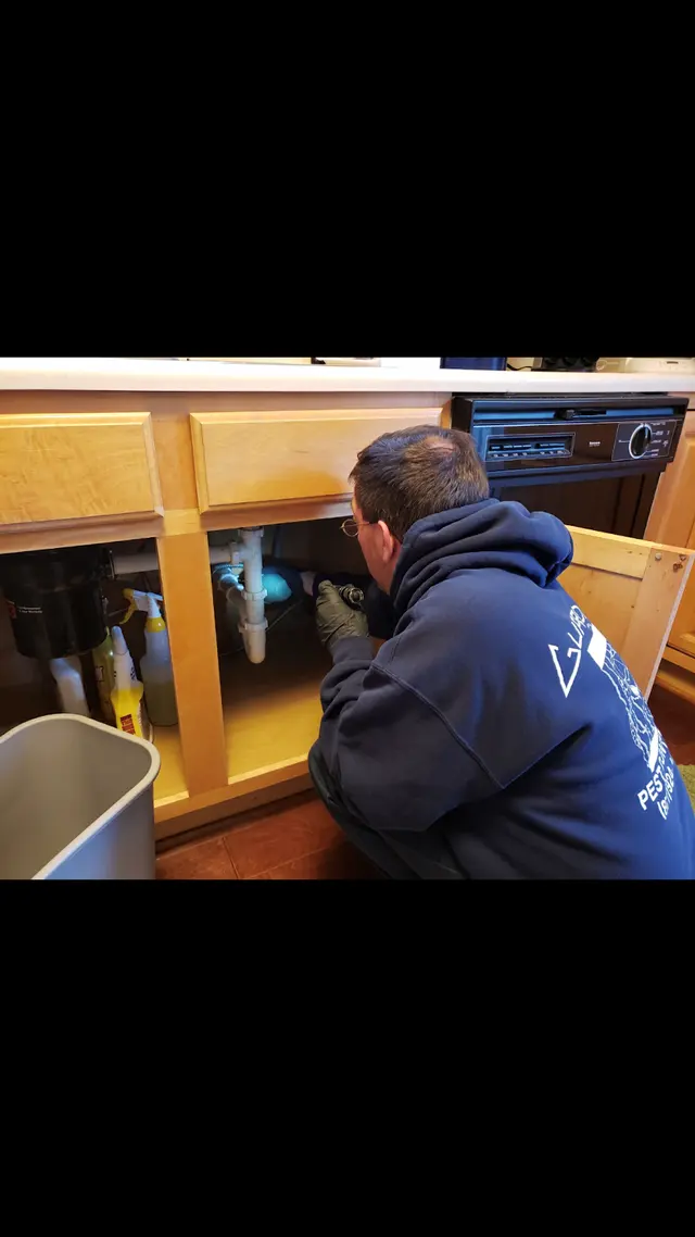 Guardian Pest Control — photo from the business 12