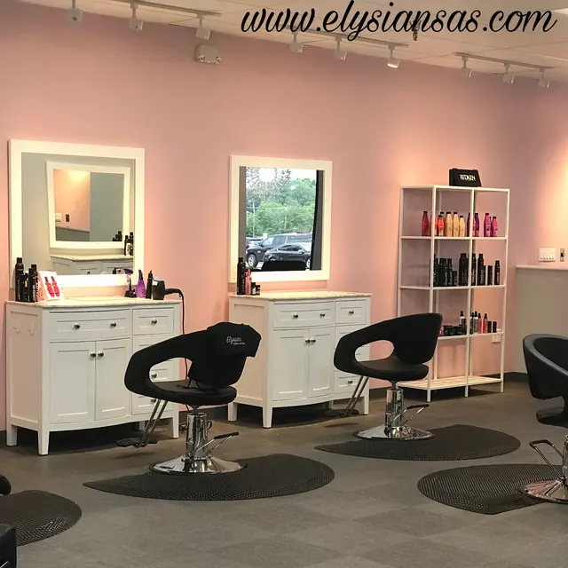 Elysian Salon and Spa — photo from the business 12