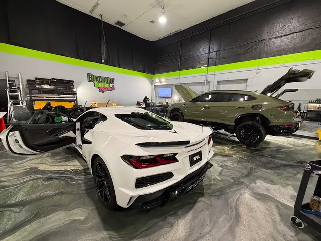 Blackout Tinting — photo from the business 4