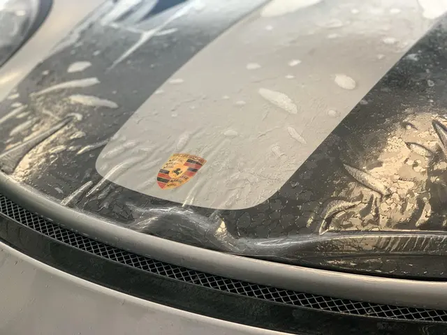 Tintem Paint Protection Film & Automotive Tint — photo from the business 9