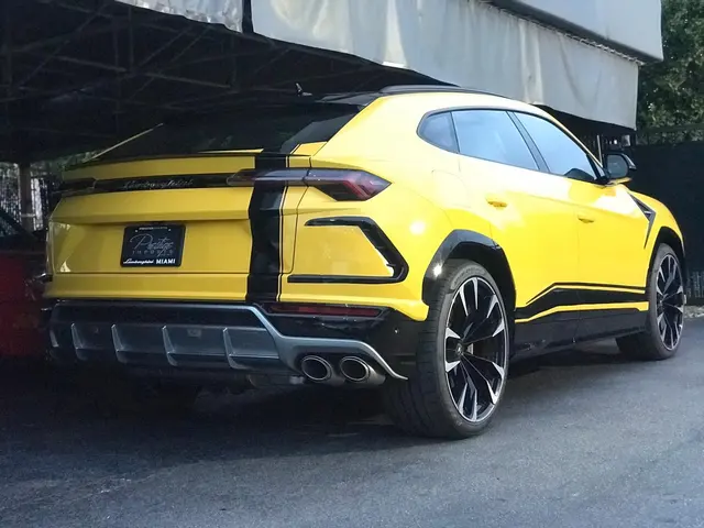 Tintem Paint Protection Film & Automotive Tint — photo from the business 6