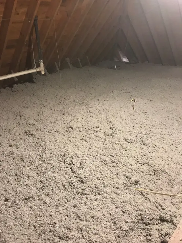 Knox Pest Control - Auburn — customer photo 3