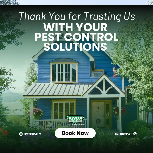 Knox Pest Control - Auburn — photo from the business 5