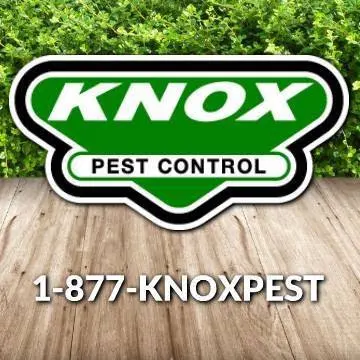 Knox Pest Control - Auburn — photo from the business 6