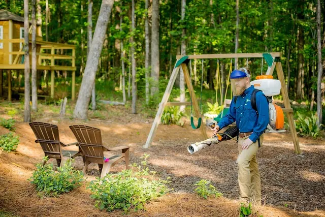 SafeSpray Pest Control — photo from the business 7