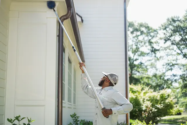 SafeSpray Pest Control — photo from the business 4