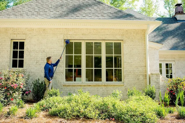 SafeSpray Pest Control — photo from the business 10
