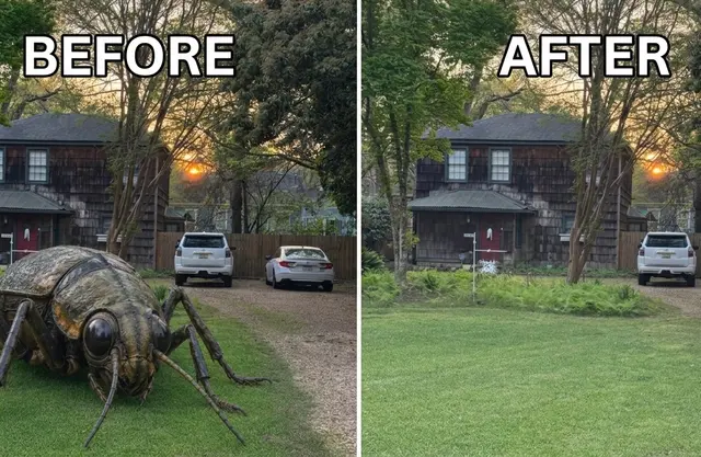 Customer photo of work by SafeSpray Pest Control, from Jim Lambert's review