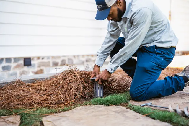 SafeSpray Pest Control — photo from the business 12