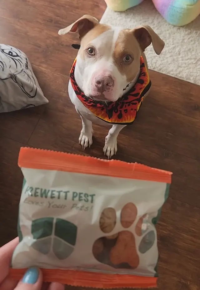 Customer photo from Janna's review